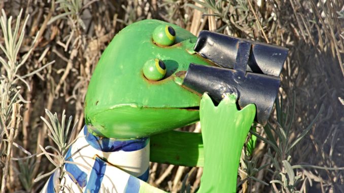 frog-3201057_1920