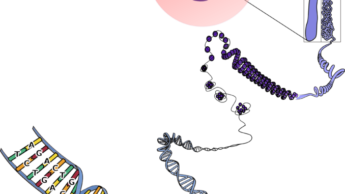 genetics-156404