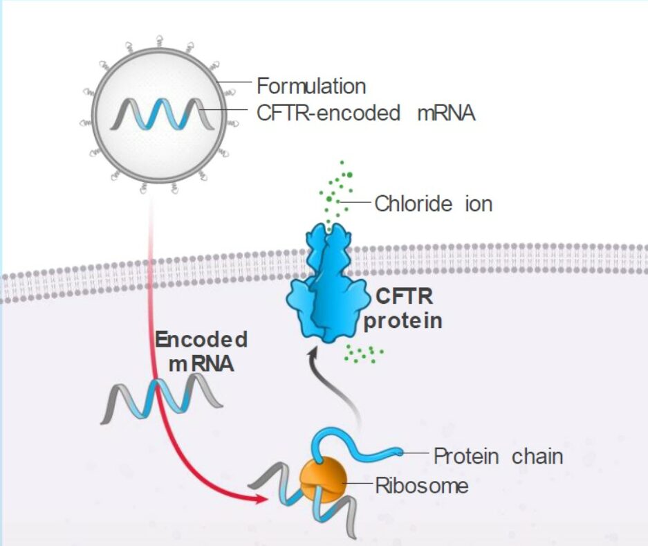 Collaboration mRNA for CFTR
