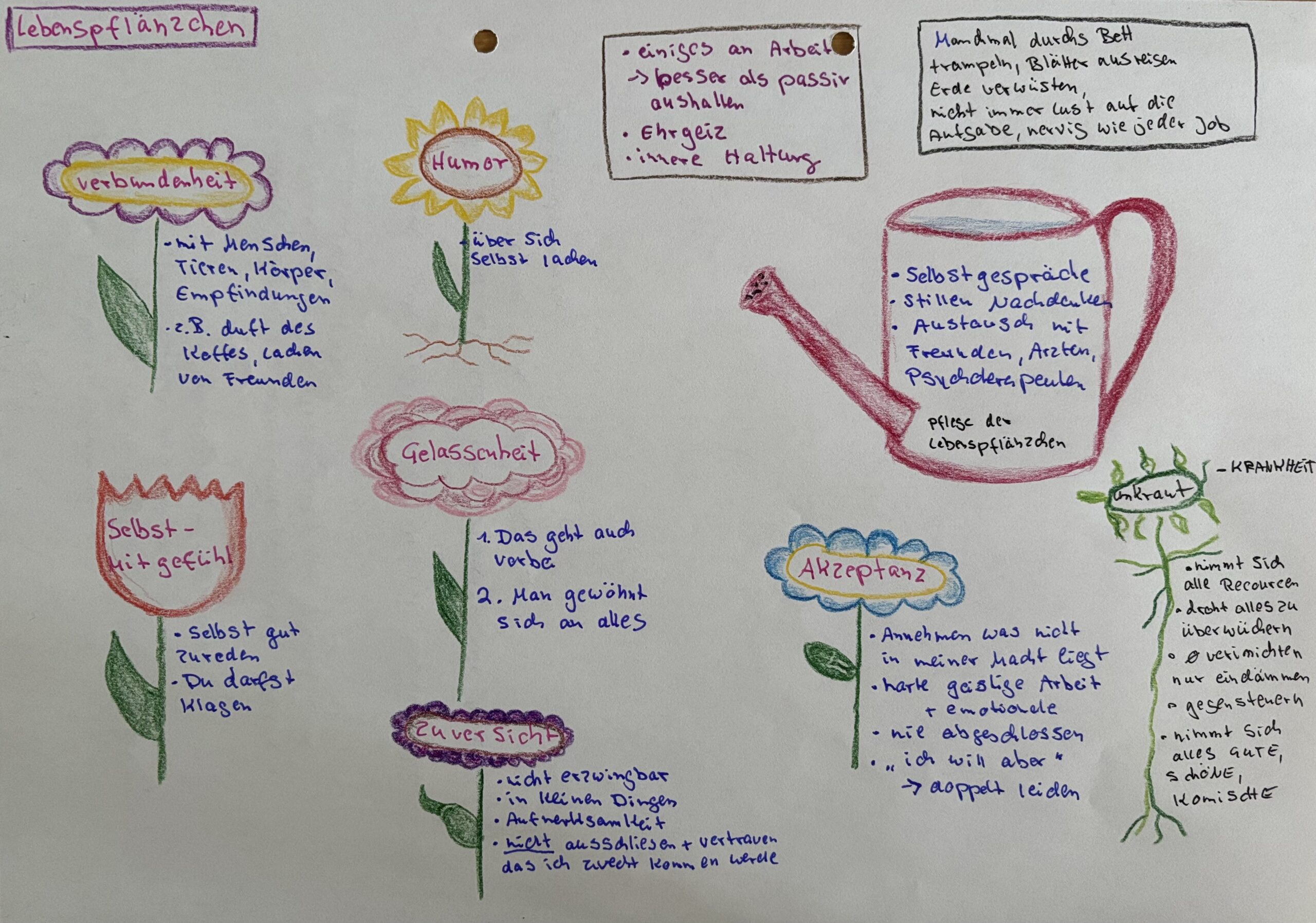 Handgezeichnete Visualisierung „Lebenspflänzchen“ von Mona Stahlberg zu "Die Kunst krank zu sein": Blumen und Gießkanne zeigen Kraftquellen wie Verbundenheit, Humor, Gelassenheit, Zuversicht, Akzeptanz und Selbstmitgefühl im Alltag mit CF.